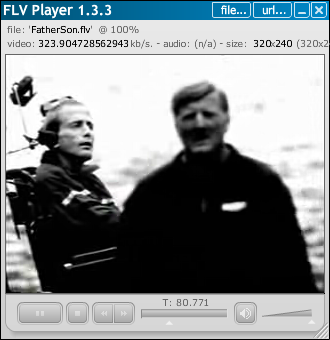 flvplayer.png